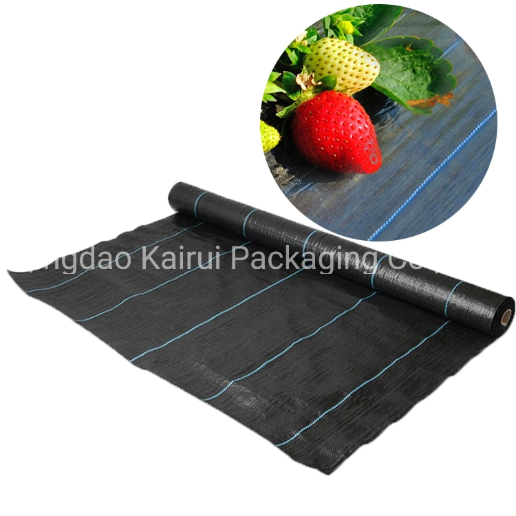 Egp Pmw006 Anti UV Plastic Agricultural Woven Best Weed Control Products