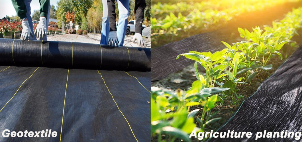 Geotextile Fabrics Woven Weed Fabric Grass Cloth Other Agriculture Products with Good Quality