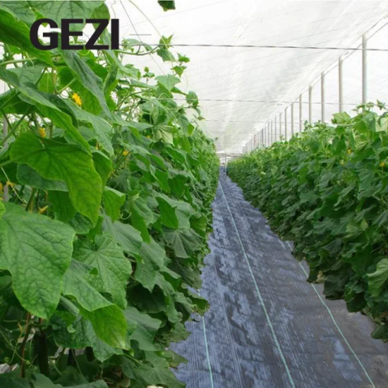 Non Woven Fabric Weed Mat PP Woven Weed Mat Landscape Fabric Agricultural Plastic Products