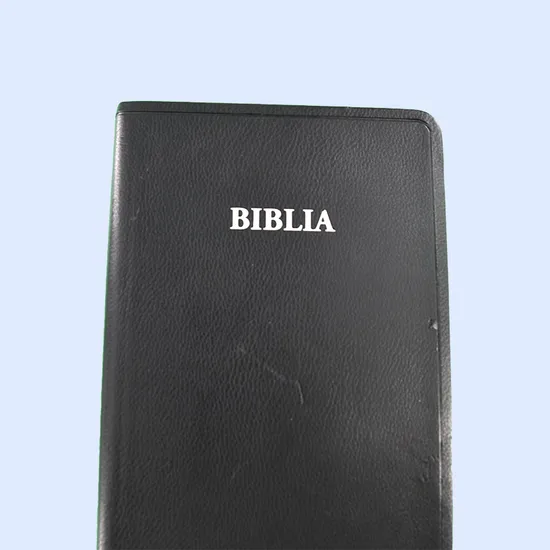 OEM Color Printing Service Hardcover PU Leather Bible Niv Kjv Version Bible 