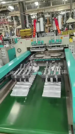 LDPE HDPE Polypropylene PE Material Food Grade Pack Handle Hag Plastic Bag